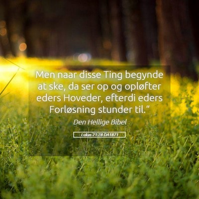 Picture 05 - Lukas 21:28 DA1871 - Men naar disse Ting begynde at ske, da ser op og - Bible Verse Picture