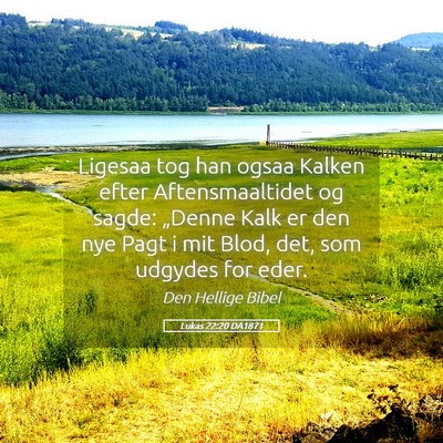 Picture 05 - Lukas 22:20 DA1871 - Ligesaa tog han ogsaa Kalken efter - Bible Verse Picture
