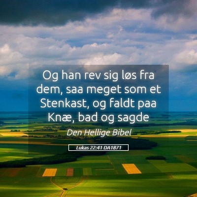 Picture 05 - Lukas 22:41 DA1871 - Og han rev sig løs fra dem, saa meget som et - Bible Verse Picture
