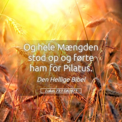 Picture 05 - Lukas 23:1 DA1871 - Og hele Mængden stod op og førte ham for - Bible Verse Picture