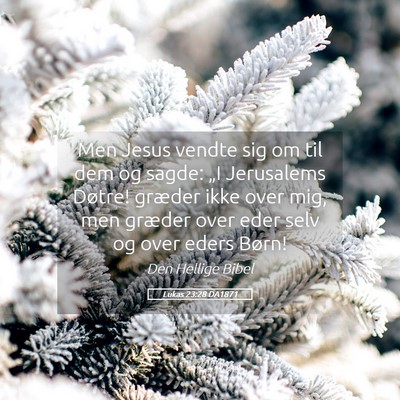 Picture 05 - Lukas 23:28 DA1871 - Men Jesus vendte sig om til dem og sagde: „I - Bible Verse Picture