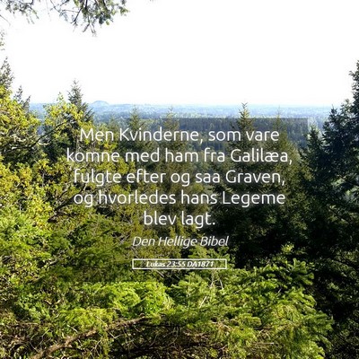 Picture 05 - Lukas 23:55 DA1871 - Men Kvinderne, som vare komne med ham fra - Bible Verse Picture