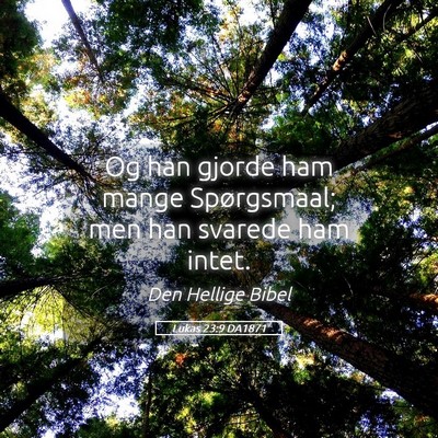 Picture 05 - Lukas 23:9 DA1871 - Og han gjorde ham mange Spørgsmaal; men han - Bible Verse Picture