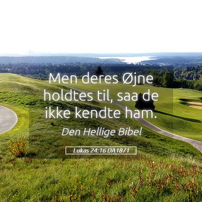 Picture 05 - Lukas 24:16 DA1871 - Men deres Øjne holdtes til, saa de ikke kendte - Bible Verse Picture