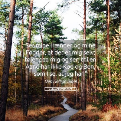 Picture 05 - Lukas 24:39 DA1871 - Ser mine Hænder og mine Fødder, at det er mig - Bible Verse Picture