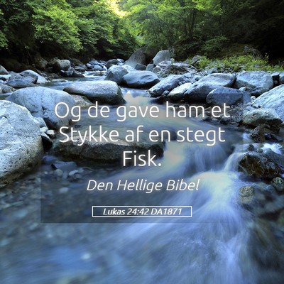 Picture 05 - Lukas 24:42 DA1871 - Og de gave ham et Stykke af en stegt - Bible Verse Picture