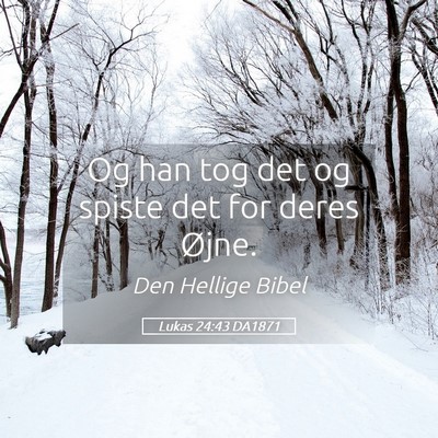 Picture 05 - Lukas 24:43 DA1871 - Og han tog det og spiste det for deres - Bible Verse Picture