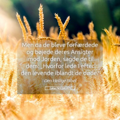 Picture 05 - Lukas 24:5 DA1871 - Men da de bleve forfærdede og bøjede deres - Bible Verse Picture