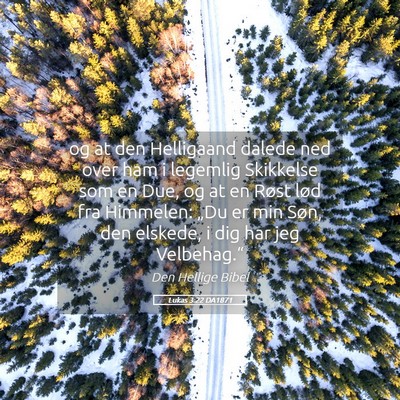 Picture 05 - Lukas 3:22 DA1871 - og at den Helligaand dalede ned over ham i - Bible Verse Picture