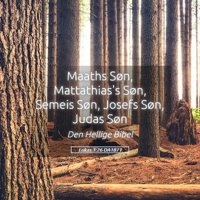 Picture 05 - Lukas 3:26 DA1871 - Maaths Søn, Mattathias's Søn, Semeis Søn, - Bible Verse Picture
