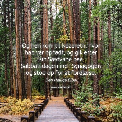 Picture 05 - Lukas 4:16 DA1871 - Og han kom til Nazareth, hvor han var opfødt, og - Bible Verse Picture