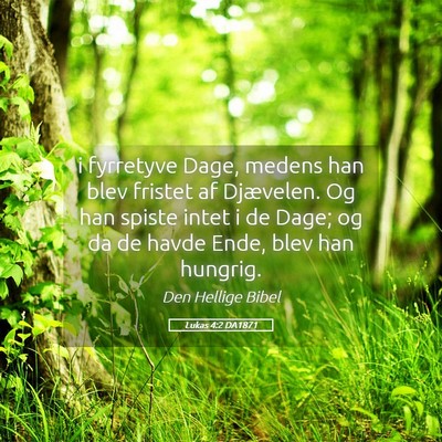 Picture 05 - Lukas 4:2 DA1871 - i fyrretyve Dage, medens han blev fristet af - Bible Verse Picture