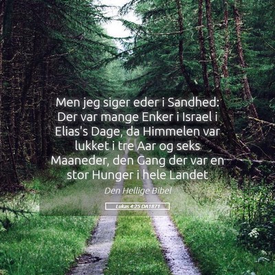 Picture 05 - Lukas 4:25 DA1871 - Men jeg siger eder i Sandhed: Der var mange Enker - Bible Verse Picture