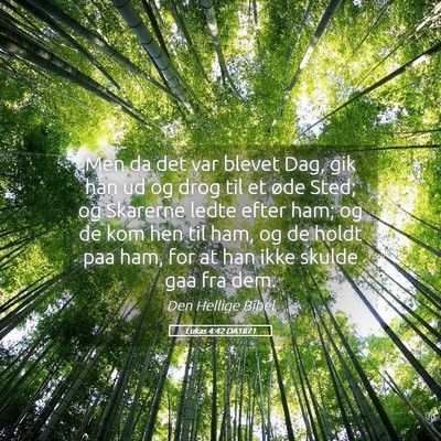 Picture 05 - Lukas 4:42 DA1871 - Men da det var blevet Dag, gik han ud og drog til - Bible Verse Picture
