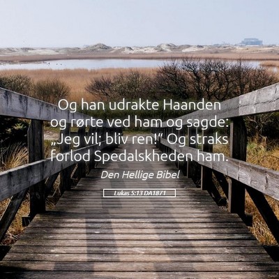 Picture 05 - Lukas 5:13 DA1871 - Og han udrakte Haanden og rørte ved ham og - Bible Verse Picture