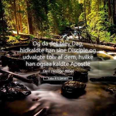 Picture 05 - Lukas 6:13 DA1871 - Og da det blev Dag, hidkaldte han sine Disciple - Bible Verse Picture