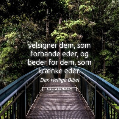 Picture 05 - Lukas 6:28 DA1871 - velsigner dem, som forbande eder, og beder for - Bible Verse Picture