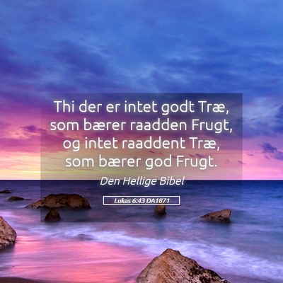 Picture 05 - Lukas 6:43 DA1871 - Thi der er intet godt Træ, som bærer raadden - Bible Verse Picture