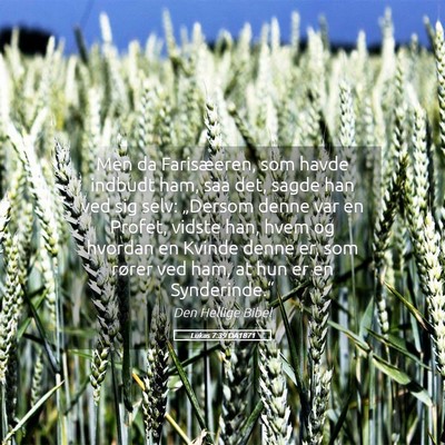 Picture 05 - Lukas 7:39 DA1871 - Men da Farisæeren, som havde indbudt ham, saa - Bible Verse Picture