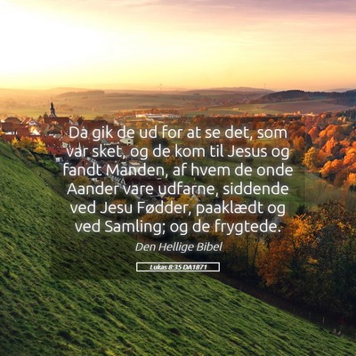 Picture 05 - Lukas 8:35 DA1871 - Da gik de ud for at se det, som var sket, og de - Bible Verse Picture