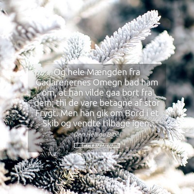 Picture 05 - Lukas 8:37 DA1871 - Og hele Mængden fra Gadarenernes Omegn bad ham - Bible Verse Picture