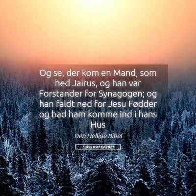 Picture 05 - Lukas 8:41 DA1871 - Og se, der kom en Mand, som hed Jairus, og han - Bible Verse Picture