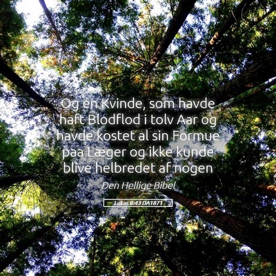 Picture 05 - Lukas 8:43 DA1871 - Og en Kvinde, som havde haft Blodflod i tolv Aar - Bible Verse Picture