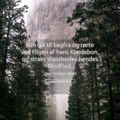 Picture 05 - Lukas 8:44 DA1871 - hun gik til bagfra og rørte ved Fligen af hans - Bible Verse Picture