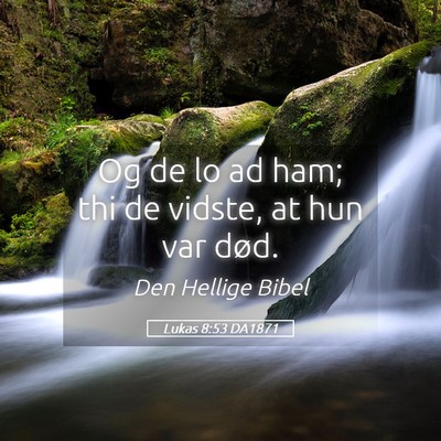 Picture 05 - Lukas 8:53 DA1871 - Og de lo ad ham; thi de vidste, at hun var - Bible Verse Picture