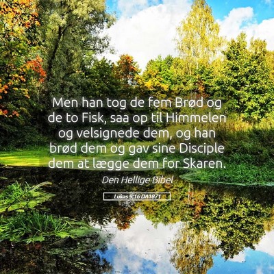 Picture 05 - Lukas 9:16 DA1871 - Men han tog de fem Brød og de to Fisk, saa op - Bible Verse Picture