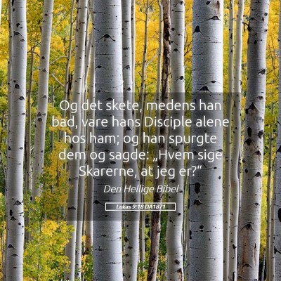 Picture 05 - Lukas 9:18 DA1871 - Og det skete, medens han bad, vare hans Disciple - Bible Verse Picture