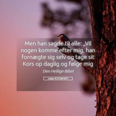 Picture 05 - Lukas 9:23 DA1871 - Men han sagde til alle: „Vil nogen komme efter - Bible Verse Picture