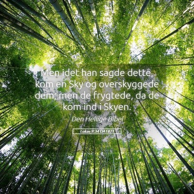 Picture 05 - Lukas 9:34 DA1871 - Men idet han sagde dette, kom en Sky og - Bible Verse Picture