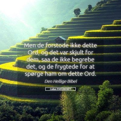 Picture 05 - Lukas 9:45 DA1871 - Men de forstode ikke dette Ord, og det var skjult - Bible Verse Picture