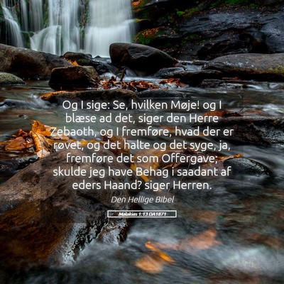 Picture 05 - Malakias 1:13 DA1871 - Og I sige: Se, hvilken Møje! og I blæse ad det, - Bible Verse Picture