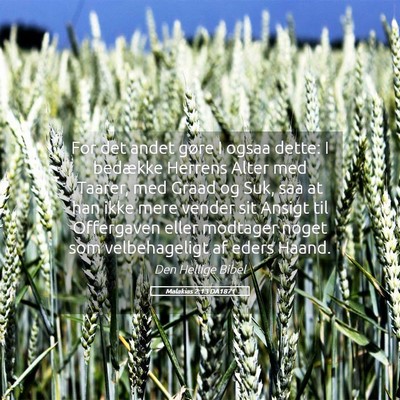 Picture 05 - Malakias 2:13 DA1871 - For det andet gøre I ogsaa dette: I bedække - Bible Verse Picture