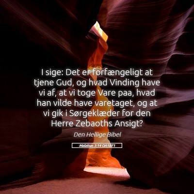 Picture 05 - Malakias 3:14 DA1871 - I sige: Det er forfængeligt at tjene Gud, og - Bible Verse Picture