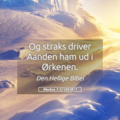 Picture 05 - Markus 1:12 DA1871 - Og straks driver Aanden ham ud i - Bible Verse Picture