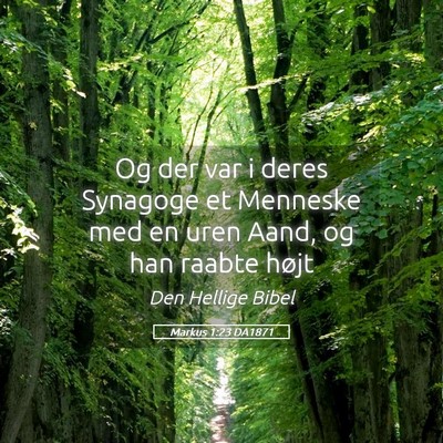 Picture 05 - Markus 1:23 DA1871 - Og der var i deres Synagoge et Menneske med en - Bible Verse Picture