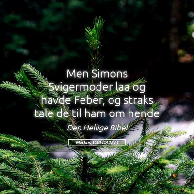 Picture 05 - Markus 1:30 DA1871 - Men Simons Svigermoder laa og havde Feber, og - Bible Verse Picture