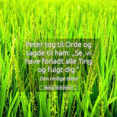 Picture 05 - Markus 10:28 DA1871 - Peter tog til Orde og sagde til ham: „Se, vi - Bible Verse Picture