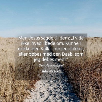 Picture 05 - Markus 10:38 DA1871 - Men Jesus sagde til dem: „I vide ikke, hvad I - Bible Verse Picture