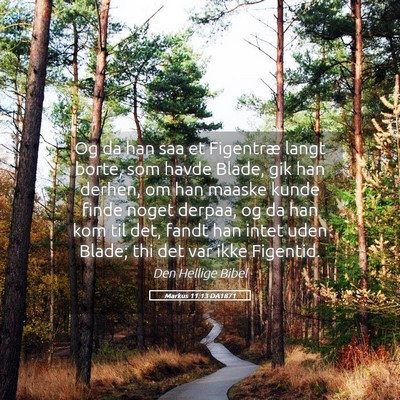 Picture 05 - Markus 11:13 DA1871 - Og da han saa et Figentræ langt borte, som havde - Bible Verse Picture
