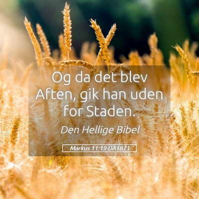 Picture 05 - Markus 11:19 DA1871 - Og da det blev Aften, gik han uden for - Bible Verse Picture