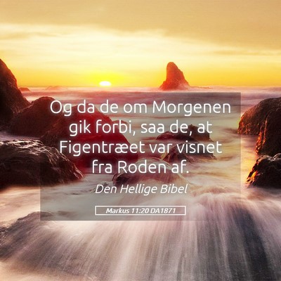 Picture 05 - Markus 11:20 DA1871 - Og da de om Morgenen gik forbi, saa de, at - Bible Verse Picture