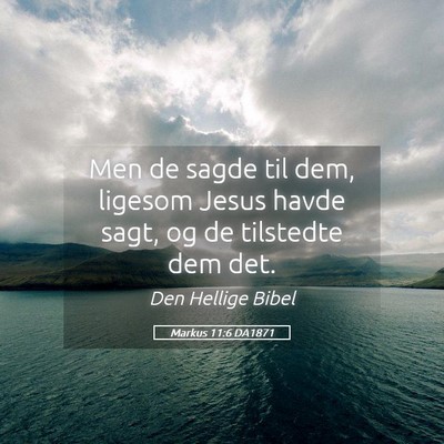Picture 05 - Markus 11:6 DA1871 - Men de sagde til dem, ligesom Jesus havde sagt, - Bible Verse Picture