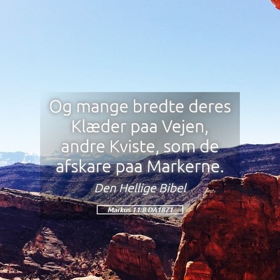 Picture 05 - Markus 11:8 DA1871 - Og mange bredte deres Klæder paa Vejen, andre - Bible Verse Picture