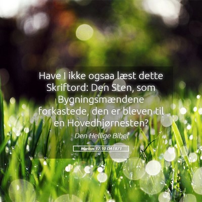 Picture 05 - Markus 12:10 DA1871 - Have I ikke ogsaa læst dette Skriftord: Den - Bible Verse Picture