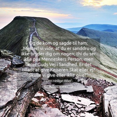 Picture 05 - Markus 12:14 DA1871 - Og de kom og sagde til ham: „Mester! vi vide, - Bible Verse Picture