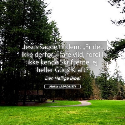 Picture 05 - Markus 12:24 DA1871 - Jesus sagde til dem: „Er det ikke derfor, I - Bible Verse Picture